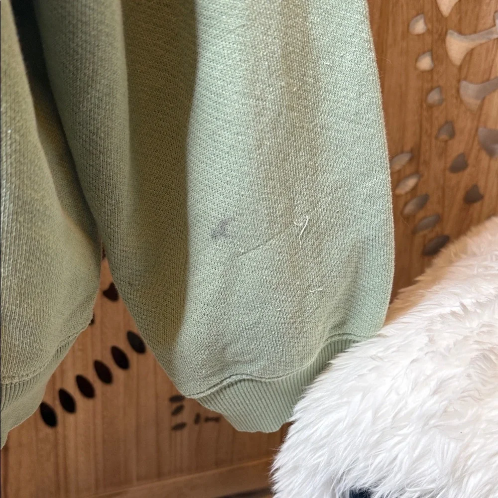 American Eagle Outfitters Green Hoodie Sweater - Picture 7 of 9